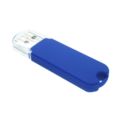 FCC đã phê duyệt 2.0 3.0 Ổ đĩa flash USB bằng nhựa 64GB 128 GB 256 GB Logo hình vòm