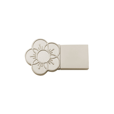 Tùy chỉnh Logo Bìa kim loại USB Stick 2g 2.0 cổng