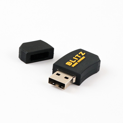 Tùy chỉnh 1GB Capacity OEM USB miễn phí và nhanh chóng tạo tác phẩm nghệ thuật