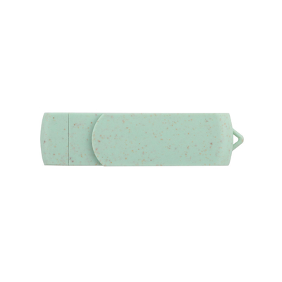 Mật khẩu hỗ trợ Logo tùy chỉnh loại C ổ đĩa flash USB để lưu trữ và tải dữ liệu hàng loạt