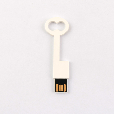 Phù hợp với tiêu chuẩn Châu Âu Ổ đĩa flash USB có khóa nhựa 2.0 64GB 128GB 50MB / S